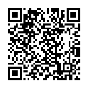 反正是夭华从脚到头也没看不出来小奶娃有哪里好转过来了二维码生成