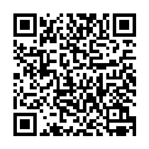 反正现在炎阳帝国的军队是无法发动十分有效的进攻了二维码生成