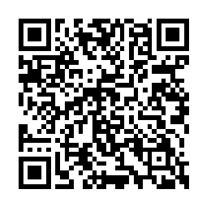 反正现在连身份最敏感的愤怒都已经曝光了身份二维码生成