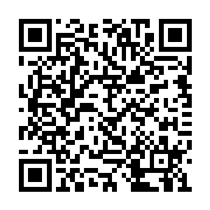 反正类似的事情……觉哥已经对夺灵干过一次了二维码生成