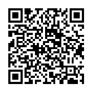 反正腾龙殿和九天圣宫的那些家伙都被困在山洞内二维码生成