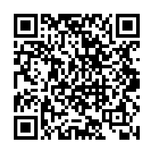 反正裁判们只看被打中之人身上的染料是什么颜色的二维码生成