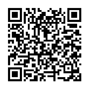 反正觉哥白天也已经在线上给小伙伴们发过消息了二维码生成