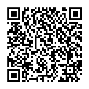 反正距离游戏时间十年一次的野外怪暴动也只剩下不到一年时间了二维码生成