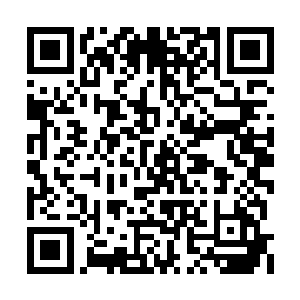 反正这些都是张璐涵在电话里重复了好几遍的话二维码生成