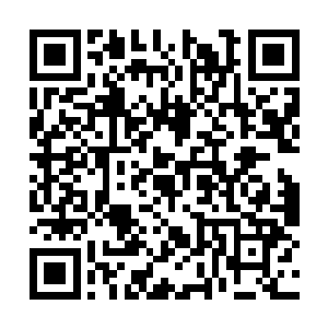 反正那些情书之类的东西自己一直都是没有看过的二维码生成