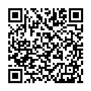 反正镇里的鬼魂都会朝着尸刀那两人的方向移动二维码生成