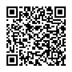 反正韩明晰遇到麻烦韩明月自然会出手替他解决二维码生成