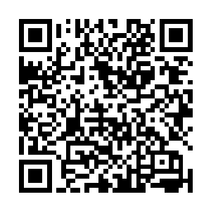 反正齐老怪曾经用血魂寺的五毒血魂钻暗算过捧山真人二维码生成