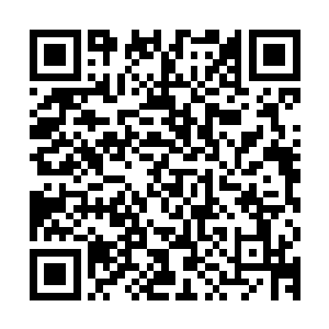 反而主动迎击……偏偏还特么的一巴掌将麒麟从空中给扇了下来二维码生成