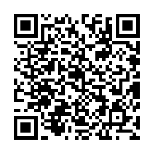 反而大人有权力调集大夏国内皇朝所有的官员……做任何事二维码生成