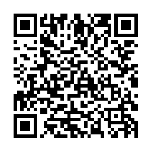 反而它暴跳如雷浑身红毛都竖起来的样子很逗人发笑二维码生成