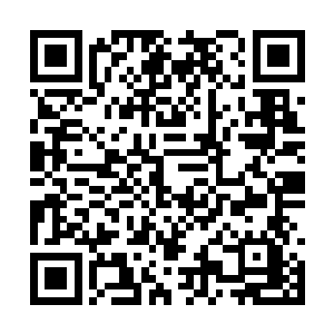 反而对他们脚下的噬血剑齿妖藤非常感兴趣的样子二维码生成