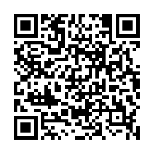 反而张生和陆家若隐若现的关系在罗主任眼里还在其次二维码生成