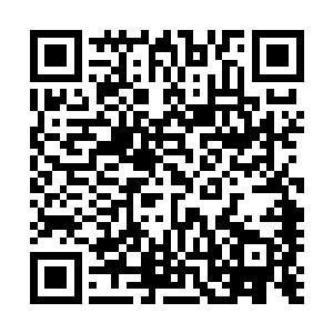 反而成了负担……若是让你和一个不怎么了解日和的人来排二维码生成
