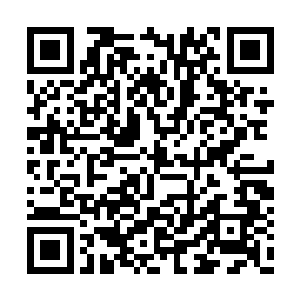 反而是你们华阳宗和神机宗的弟子死的一个不剩二维码生成