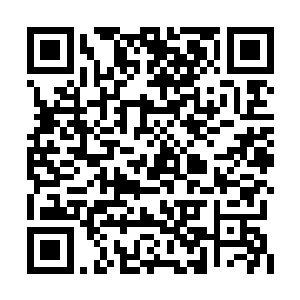 反而是催动了神通法相与斗天星罗大阵正面抗衡二维码生成