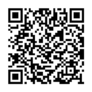 反而是围绕着他身体内的金丹不断的盘旋了起来二维码生成