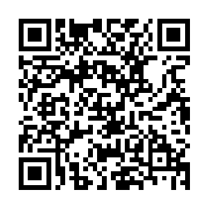 反而是在花满楼自己原有的功法基础上进行了一番改动二维码生成
