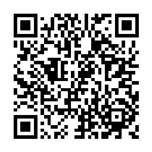 反而是坐在巴克对面的怡南专注的观察巴克表情二维码生成