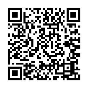 反而是增加了丁长生的手和她批复之间的磨差力二维码生成