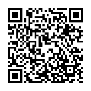 反而是平日里那些不起眼的小智慧更加的能够保护自己二维码生成