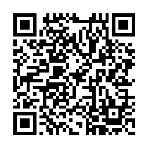 反而是沧桑得不成样子的七朵金莲落了下风……二维码生成