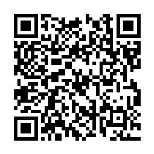 反而是老实的站在码头上等着贝海里和朋友的寒暄二维码生成