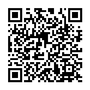 反而是集体带伤流血……就算不认可他们是受害者二维码生成