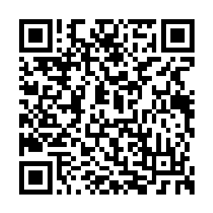 反而演变成了杜家和秦老爷子一个人之间的恩怨二维码生成