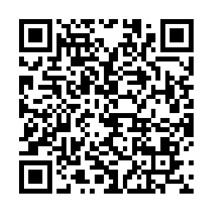 反而激发了从小到大没受过一点挫折的沈飞更强的斗志二维码生成