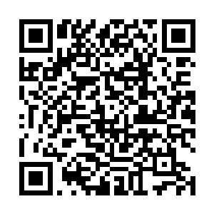 反而纠集了近二十多万溃败的士兵绕到了楚…长兴侧翼二维码生成