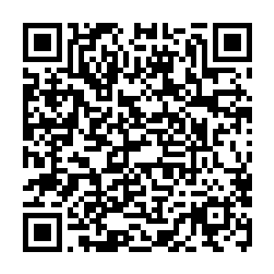 反而被倪道溪这三十六面鬼幡旗和一面鬼罗幡组成的天罡鬼罗阵给镇压在了下方二维码生成