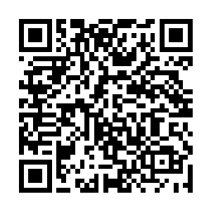 反而还在那股吸力的作用下被逐步拉回了楚旬的体内二维码生成