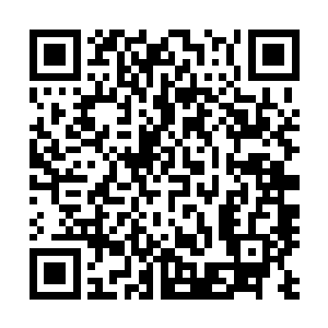 反而还想要将那枚足以诱惑所有大圆满强者的本命晶核给他二维码生成