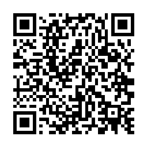 反而进一步激发了它的贪婪――它疯狂吞噬着一切宝物二维码生成