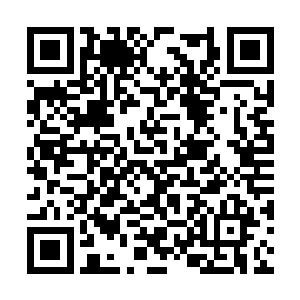 反过来将赤蛇殿和青蛇殿的七位天仙给包围了起来二维码生成