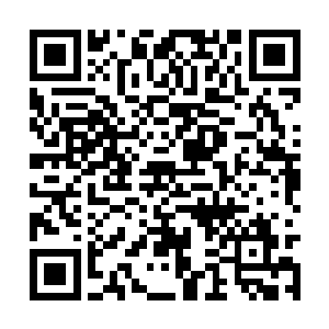 反过来背朝地的巴克甚至还觉得有种沙滩椅的感觉二维码生成