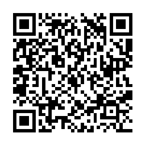 发动了汽车顺着地上应该是很久以前的车轮印行进二维码生成