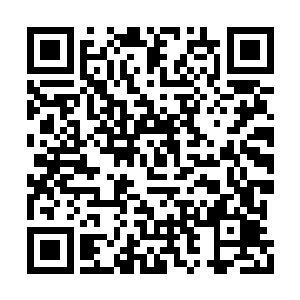 发动时可以在一小段时间内无视元气消耗将一切二维码生成