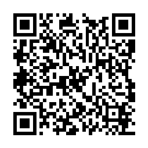发掘在亿万年进化之路上被忽略和抛弃的各种可能二维码生成