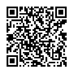 发现一个赤衫少年正盘坐在言笑梦往日修行的雷二维码生成