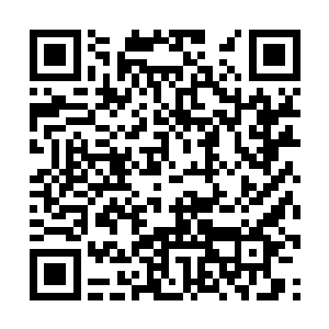 发现一些在自然环境中别的生命发现不了的东西~二维码生成