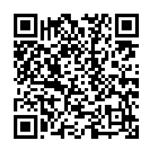 发现七级的夜行人并没有什么特别值得学习的强力技能二维码生成