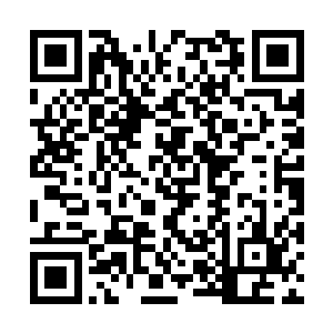 发现不对……她才把澜姐儿房里的丫头都找出来问二维码生成