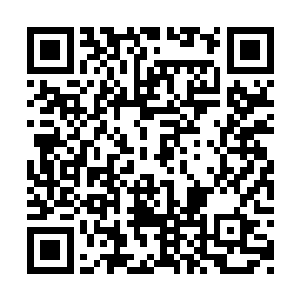 发现了张东城身边的蕾切尔和帕翠西娅的阿达曼二维码生成