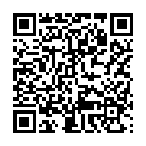 发现了被他紧紧按压在身体上以防丢失的万兽无疆二维码生成