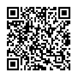发现了越来越多的混沌兽和各种百族时代的百族修士二维码生成