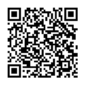 发现他们依旧还在探讨着荒天塔会否离开苦海世界的事情二维码生成