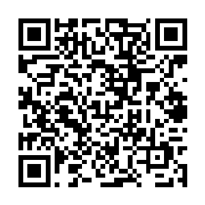 发现他比刚见到自己和风幽幽时的态度好上了许多二维码生成